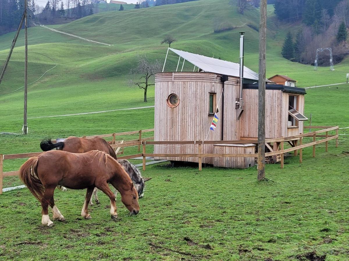 Beaver Creek Ranch Rothenthurm Bagian luar foto